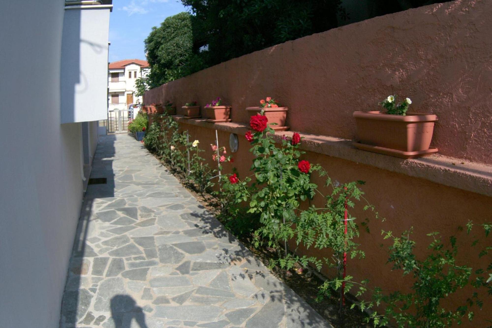 Mare D'Oro Apartment Sarti Luaran gambar